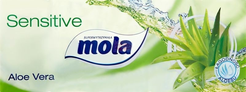 Mola chusteczki higieniczne Łagodność Aloesu 10x10 szt.