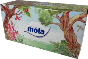 Mola chusteczki higieniczne box family 150 szt.